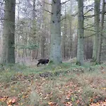 4 Person In Hovborg-by Traum Hovborg