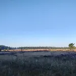4 Person In Hovborg-by Traum *