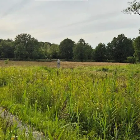 Дом отдыха 4 Person In Hovborg-by Traum *