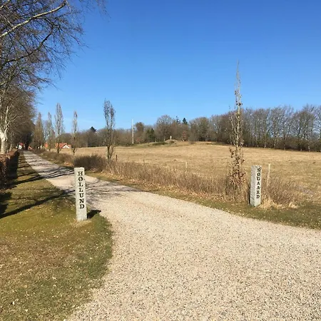 4 Person In Hovborg-by Traum * Ховборг