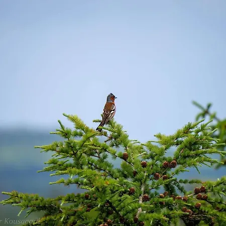 4 Person In Hovborg-by Traum Дом отдыха
