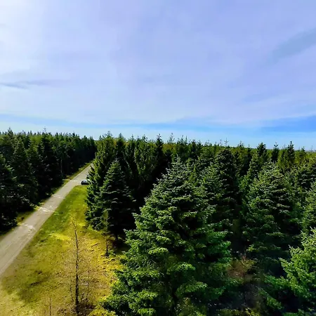 4 Person In Hovborg-by Traum Ховборг