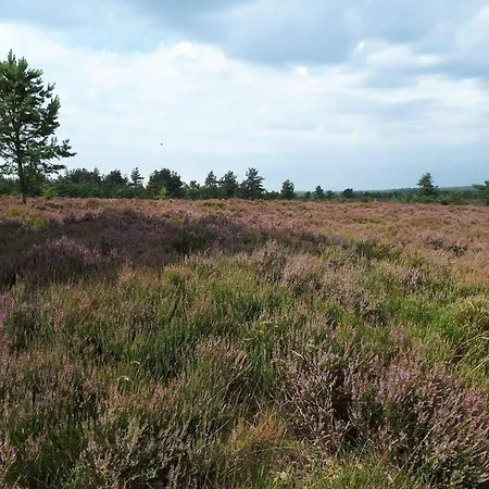 4 Person In Hovborg-by Traum Prázdninový dům