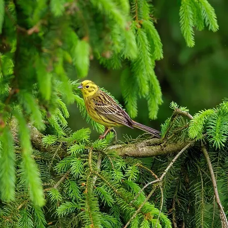 4 Person In Hovborg-by Traum Дом отдыха *