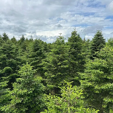 4 Person In Hovborg-by Traum Prázdninový dům