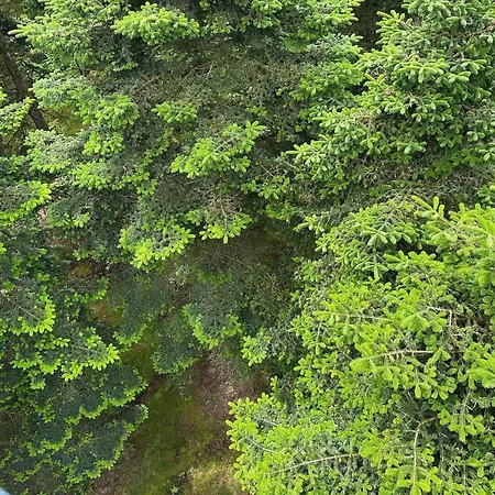 4 Person In Hovborg-by Traum Дом отдыха *