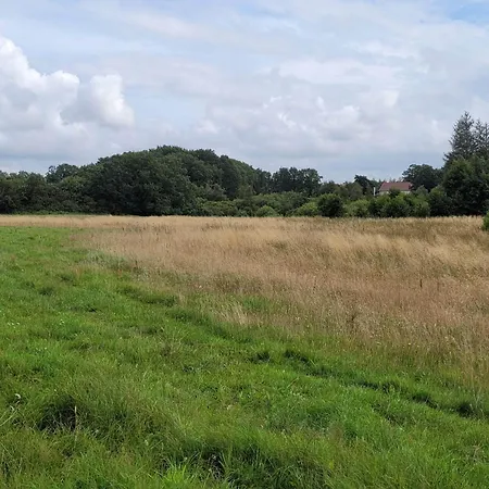 Дом отдыха 4 Person In Hovborg-by Traum