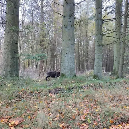 4 Person In Hovborg-by Traum Ховборг