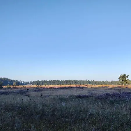 4 Person In Hovborg-by Traum *