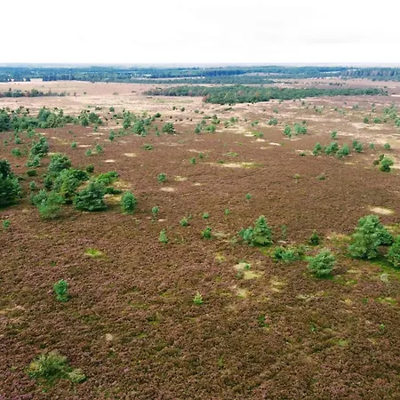 Prázdninový dům 4 Person In Hovborg-by Traum *